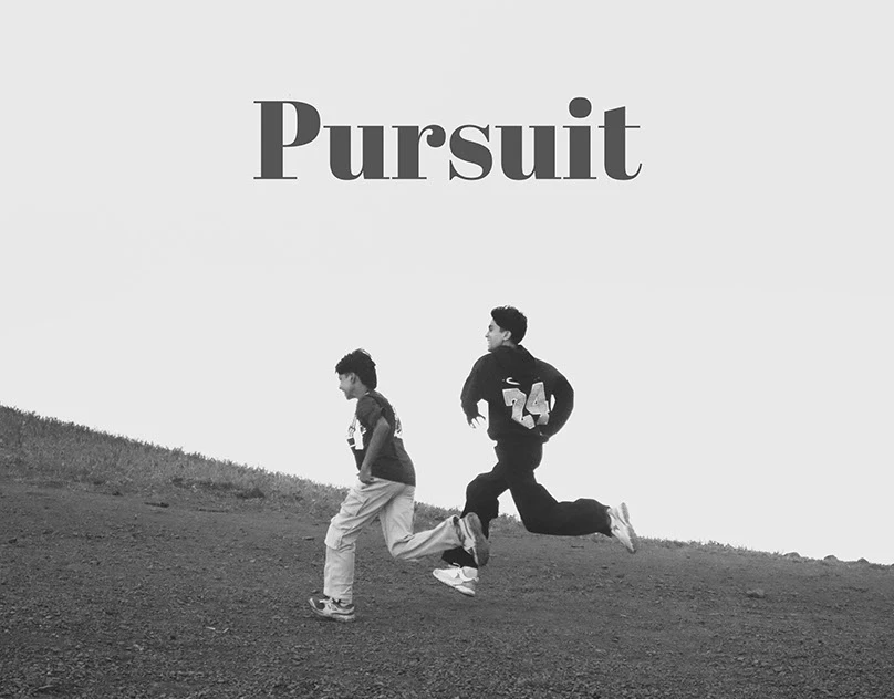 Pursuit: A Visual Expedition