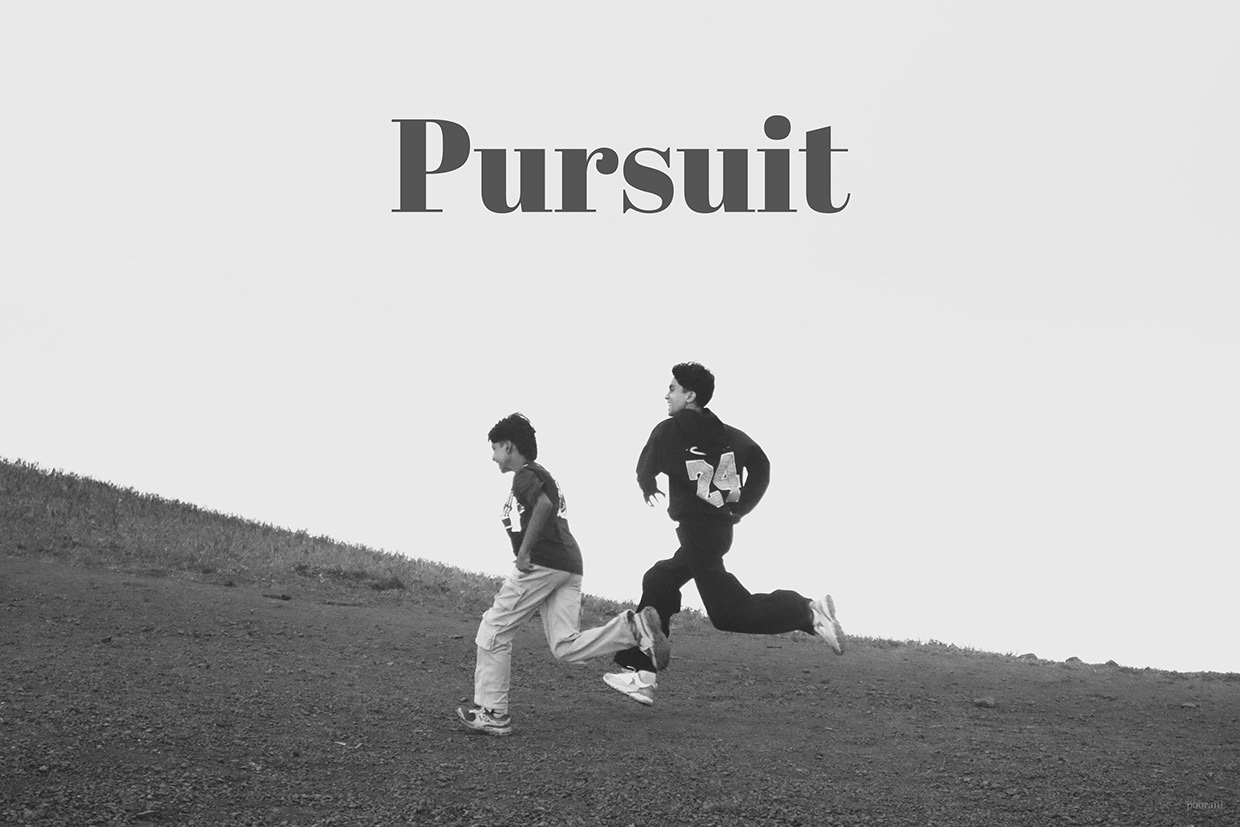 Pursuit: A Visual Expedition — Board 1
