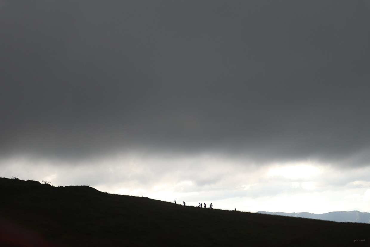 Pursuit: A Visual Expedition — Board 3